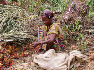Photo illustrant la mission "Émancipation professionnelle des femmes au Cameroun", avec Lifetime Projects