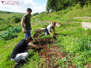 Photo de l'équipe strasbourgeoise de Lifetime Projects en séjour dans une ferme bio en Angleterre