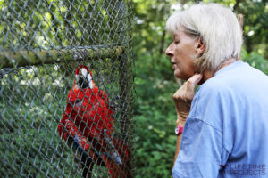 Photo illustrant la mission "Refuge pour animaux sauvages au Guatemala", avec Lifetime Projects