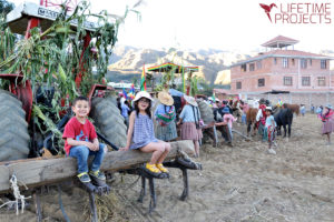 Photo illustrant le pays d'action des missions humanitaires et écologiques : la Bolivie