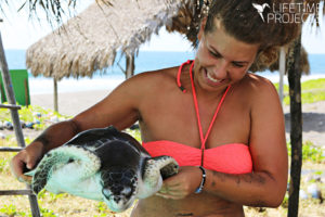 Photo illustrant la mission écologique "Protection des tortues marines et de la mangrove au Guatemala", avec Lifetime Projects