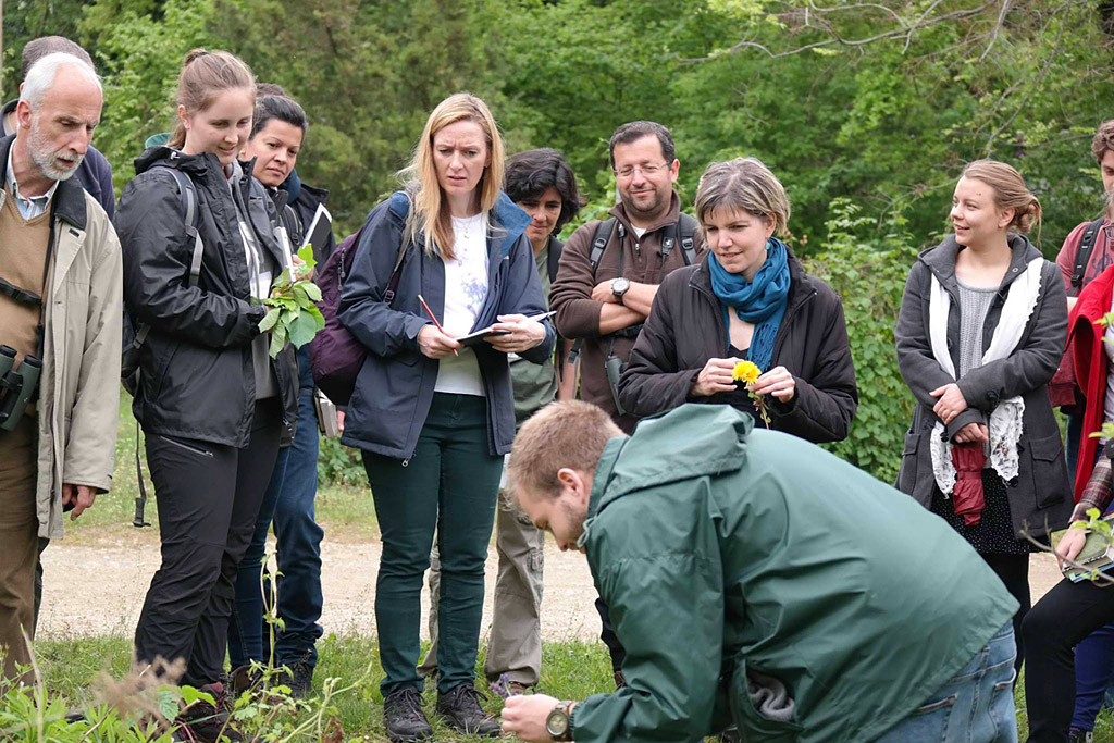 Photo illustrant la formation "protection de l'environnement dans une ferme bio en Angleterre", avec Lifetime Projects