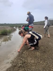 Planter de la mangrove avec LifeTime Projects