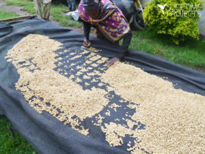 Photo de la mission Agriculture biologique en Tanzanie, avec Lifetime Projects