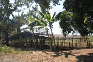 Photo de la pépinière construite dans le cadre d'une mission humanitaire avec LifeTime Projects