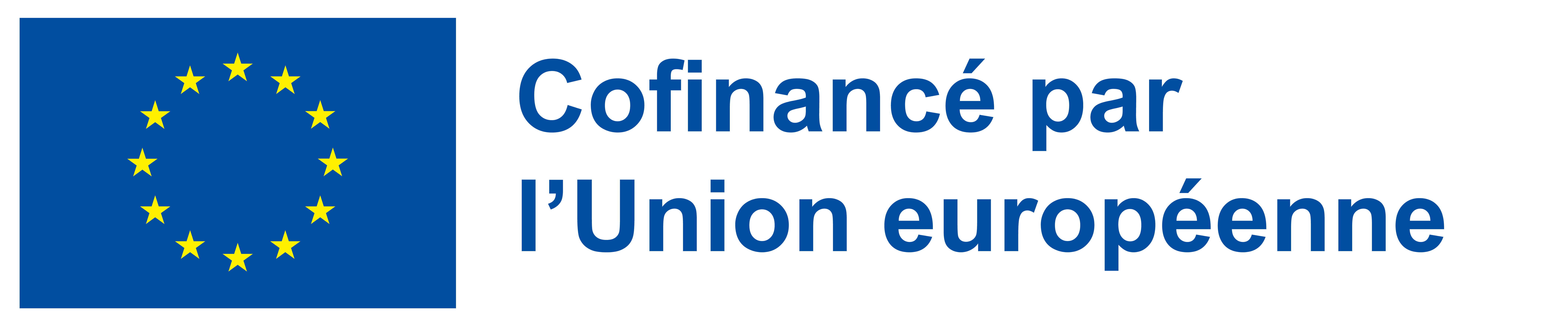 Logo du FSE