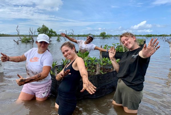Photo de volontaires en mission de restauration de la mangrove avec Lifetime Projects